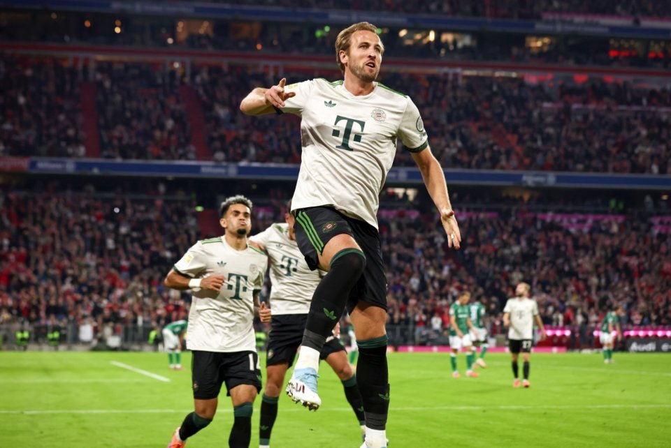 来自耐心的 来自耐心的