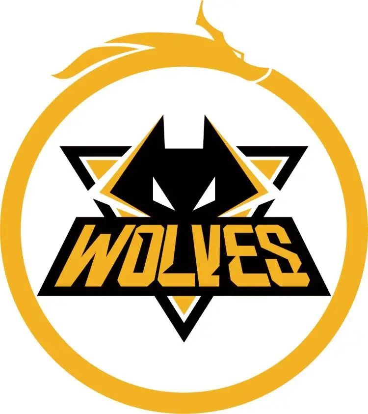 概率与信息 概率与信息